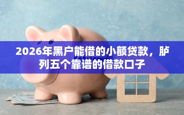2026年黑户能借的小额贷款，胪列五个靠谱的借款口子
