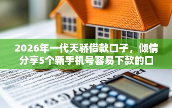 2026年一代天骄借款口子，倾情分享5个新手机号容易下款的口子