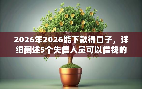 2026年2026能下款得口子，详细阐述5个失信人员可以借钱的网贷口子