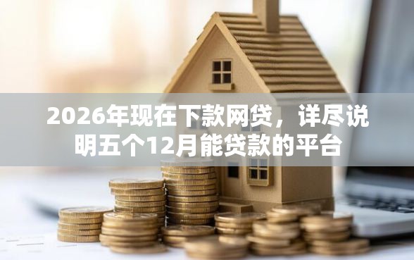 2026年现在下款网贷，详尽说明五个12月能贷款的平台