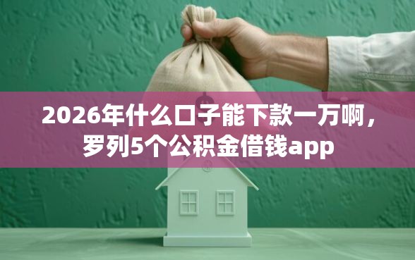 2026年什么口子能下款一万啊，罗列5个公积金借钱app