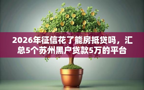 2026年征信花了能房抵贷吗，汇总5个苏州黑户贷款5万的平台