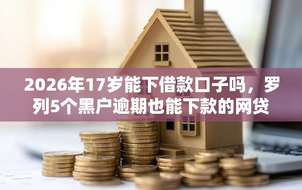 2026年17岁能下借款口子吗，罗列5个黑户逾期也能下款的网贷