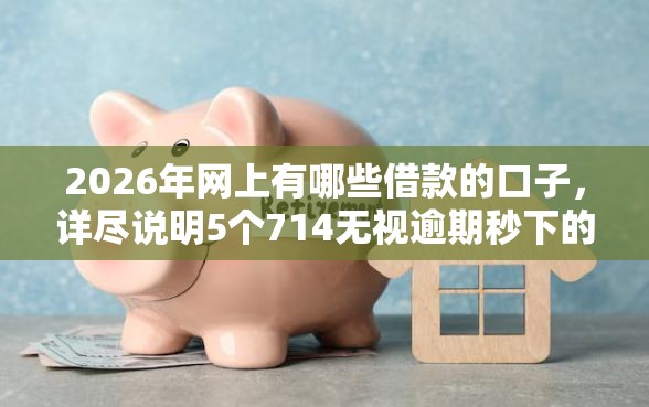 2026年网上有哪些借款的口子，详尽说明5个714无视逾期秒下的软件
