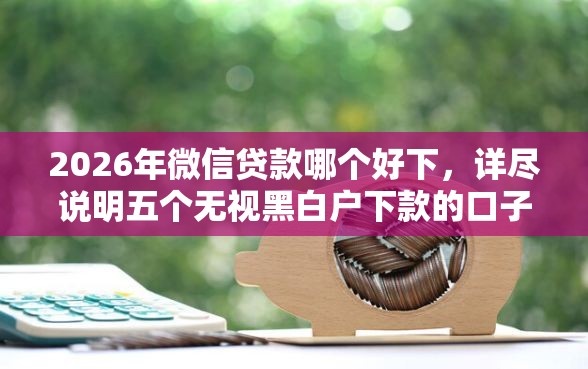 2026年微信贷款哪个好下，详尽说明五个无视黑白户下款的口子