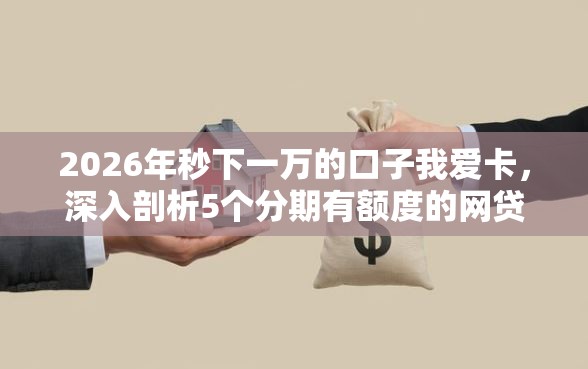 2026年秒下一万的口子我爱卡，深入剖析5个分期有额度的网贷软件