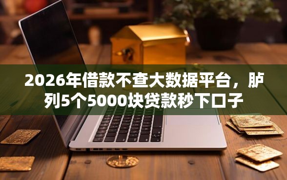 2026年借款不查大数据平台，胪列5个5000块贷款秒下口子
