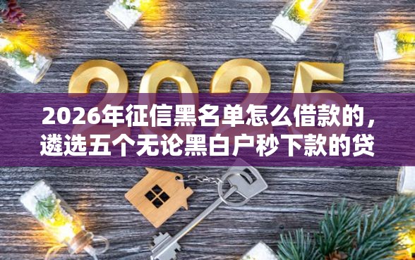 2026年征信黑名单怎么借款的，遴选五个无论黑白户秒下款的贷款平台