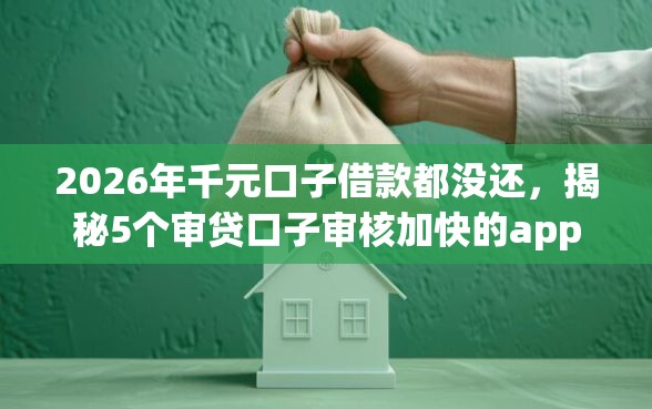 2026年千元口子借款都没还，揭秘5个审贷口子审核加快的app