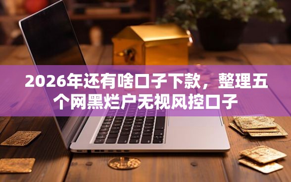 2026年还有啥口子下款，整理五个网黑烂户无视风控口子