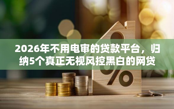 2026年不用电审的贷款平台，归纳5个真正无视风控黑白的网贷