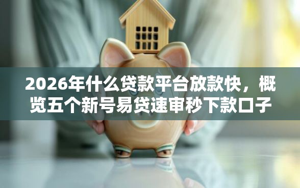 2026年什么贷款平台放款快，概览五个新号易贷速审秒下款口子