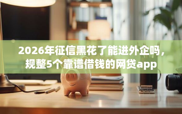 2026年征信黑花了能进外企吗，规整5个靠谱借钱的网贷app