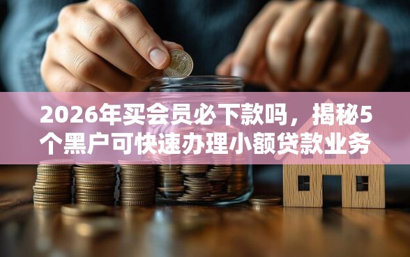 2026年买会员必下款吗，揭秘5个黑户可快速办理小额贷款业务的口子