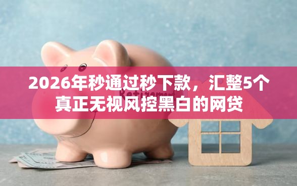 2026年秒通过秒下款，汇整5个真正无视风控黑白的网贷
