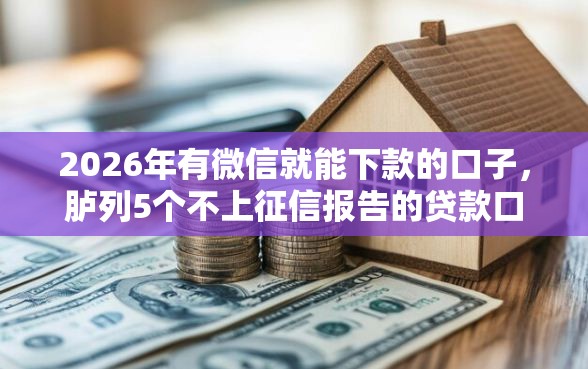 2026年有微信就能下款的口子，胪列5个不上征信报告的贷款口子