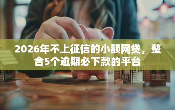 2026年不上征信的小额网贷，整合5个逾期必下款的平台