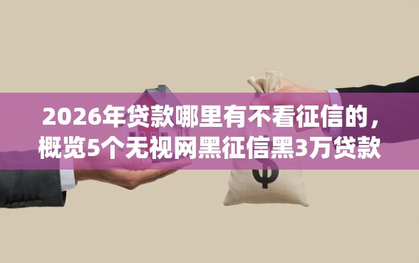 2026年贷款哪里有不看征信的，概览5个无视网黑征信黑3万贷款秒款app名单
