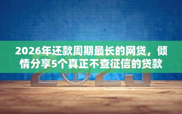 2026年还款周期最长的网贷，倾情分享5个真正不查征信的贷款口子