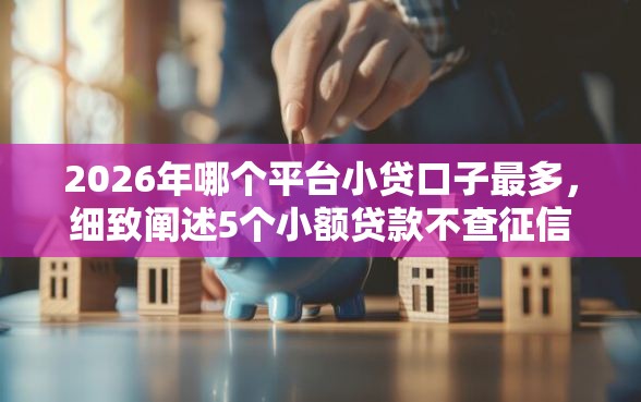 2026年哪个平台小贷口子最多，细致阐述5个小额贷款不查征信的软件