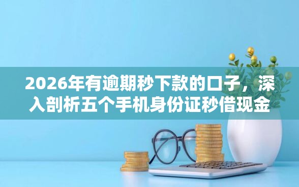 2026年有逾期秒下款的口子，深入剖析五个手机身份证秒借现金的口子