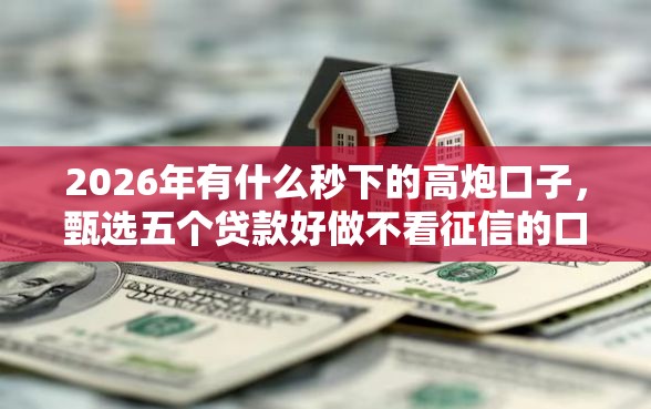 2026年有什么秒下的高炮口子，甄选五个贷款好做不看征信的口子