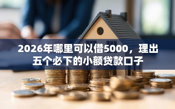 2026年哪里可以借5000，理出五个必下的小额贷款口子