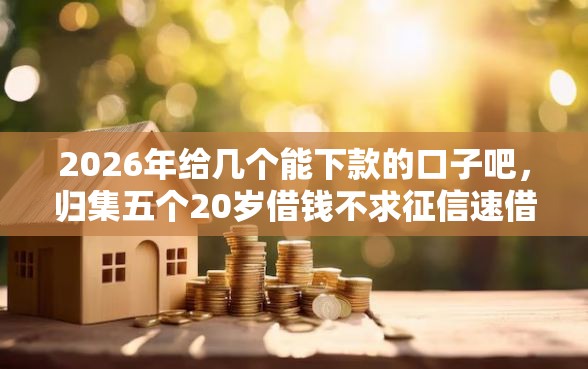 2026年给几个能下款的口子吧，归集五个20岁借钱不求征信速借软件