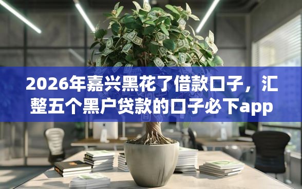 2026年嘉兴黑花了借款口子，汇整五个黑户贷款的口子必下app