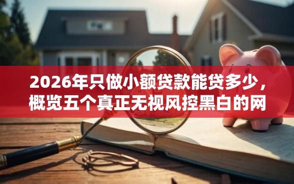 2026年只做小额贷款能贷多少，概览五个真正无视风控黑白的网贷软件