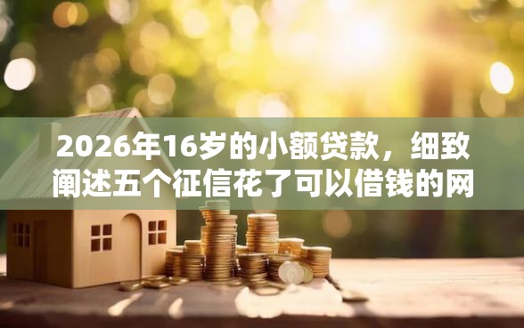 2026年16岁的小额贷款，细致阐述五个征信花了可以借钱的网贷口子