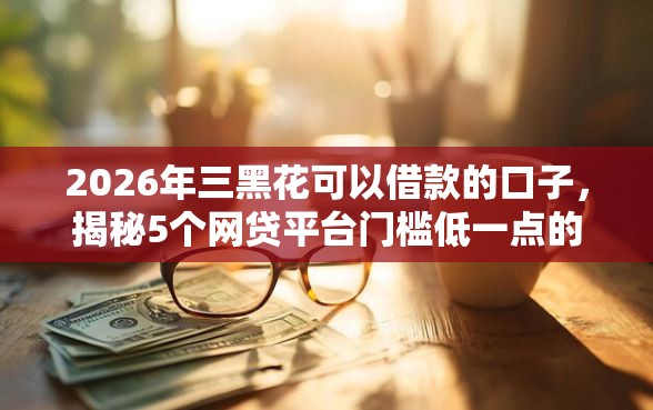 2026年三黑花可以借款的口子，揭秘5个网贷平台门槛低一点的平台