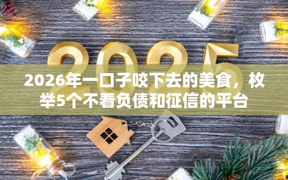 2026年一口子咬下去的美食，枚举5个不看负债和征信的平台