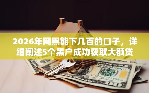 2026年网黑能下几百的口子，详细阐述5个黑户成功获取大额贷款的软件