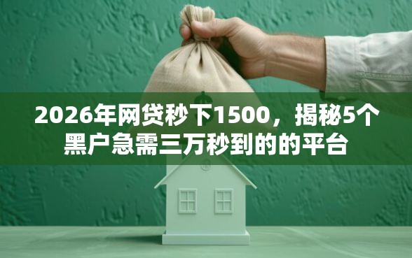 2026年网贷秒下1500，揭秘5个黑户急需三万秒到的的平台