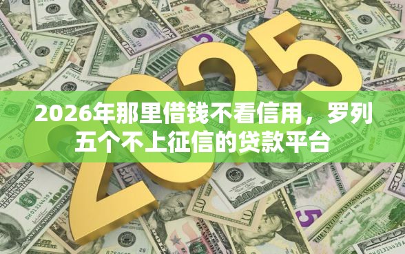 2026年那里借钱不看信用，罗列五个不上征信的贷款平台