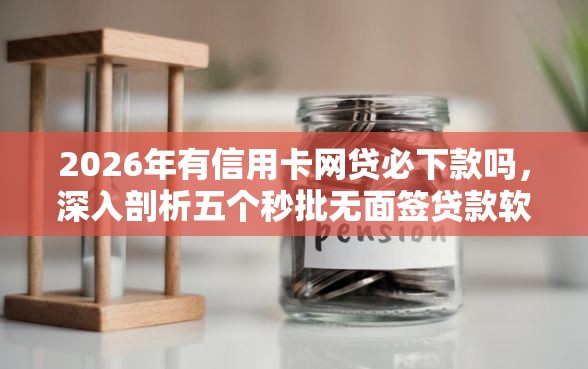 2026年有信用卡网贷必下款吗，深入剖析五个秒批无面签贷款软件