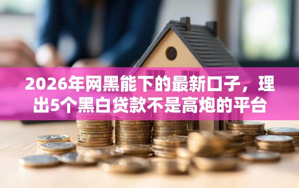 2026年网黑能下的最新口子，理出5个黑白贷款不是高炮的平台