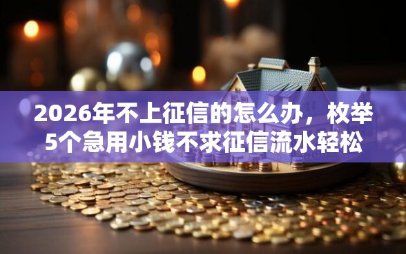 2026年不上征信的怎么办，枚举5个急用小钱不求征信流水轻松贷的平台