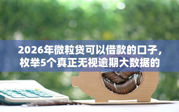 2026年微粒贷可以借款的口子，枚举5个真正无视逾期大数据的网贷软件