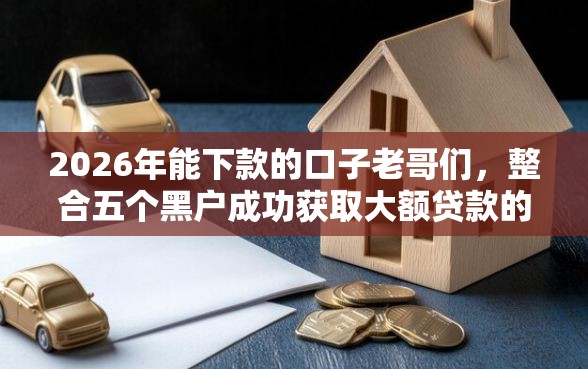 2026年能下款的口子老哥们，整合五个黑户成功获取大额贷款的平台