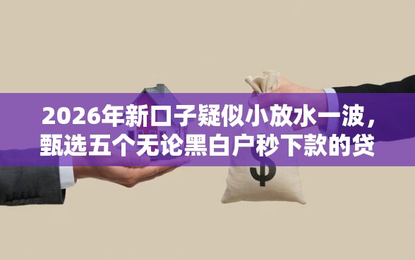 2026年新口子疑似小放水一波，甄选五个无论黑白户秒下款的贷款平台