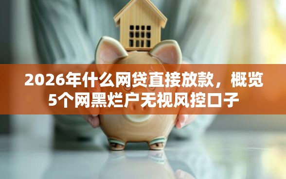 2026年什么网贷直接放款，概览5个网黑烂户无视风控口子