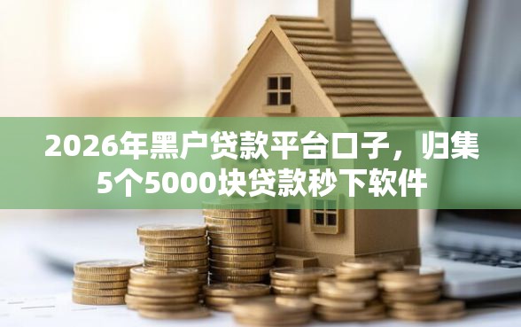 2026年黑户贷款平台口子，归集5个5000块贷款秒下软件