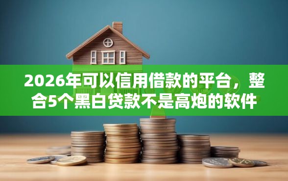 2026年可以信用借款的平台，整合5个黑白贷款不是高炮的软件