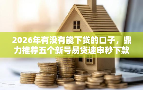 2026年有没有能下贷的口子，鼎力推荐五个新号易贷速审秒下款软件