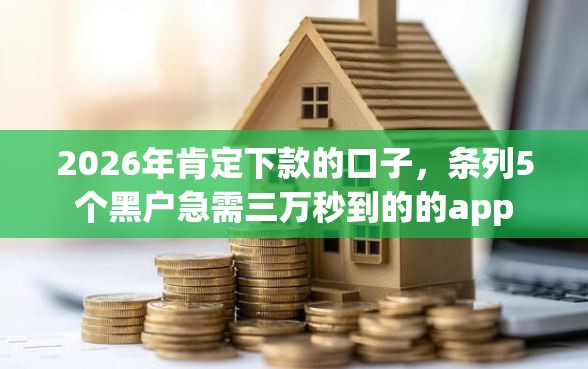 2026年肯定下款的口子，条列5个黑户急需三万秒到的的app