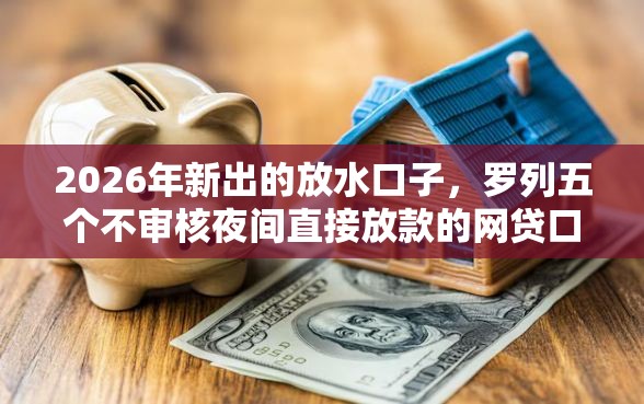 2026年新出的放水口子，罗列五个不审核夜间直接放款的网贷口子