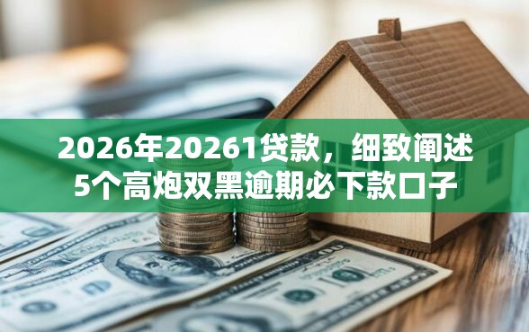 2026年20261贷款，细致阐述5个高炮双黑逾期必下款口子