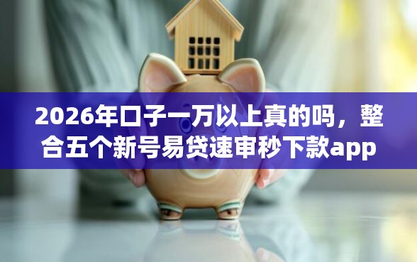 2026年口子一万以上真的吗，整合五个新号易贷速审秒下款app